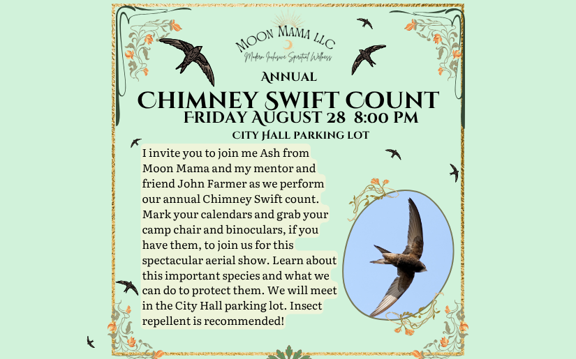 Annual Chimney Swift Count